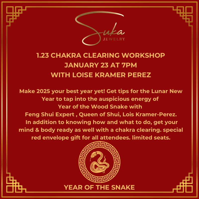 1.23 Chakra Cleaning Workshop January 23