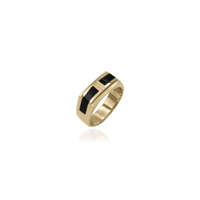 Black Onyx Ring in 14K Gold